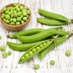 Groch siewny łuskowy Cud Kelvedonu nasiona 500g - PlantiCo