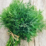 Koper ogrodowy Ambrozja nasiona 500g - PlantiCo