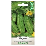 Ogórek gruntowy Polan F1 nasiona 4g - WegAna