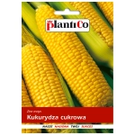 Kukurydza cukrowa nasiona 10g - PlantiCo
