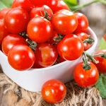 Pomidor karłowy Balkoni Red F1 nasiona 0,1g - VILMORIN