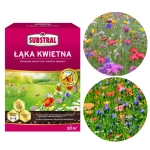 Łąka Kwietna mieszanka nasion traw i kwiatów łąkowych nasiona 300g - Substral