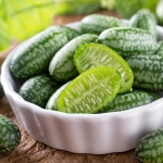 Ogórek meksykański nasiona 10 szt. - POLAN