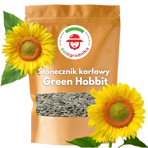 Słonecznik Karłowy Green Hobbit Ozdobny na kwiat cięty DOTACJA nasiona sklep rajogrodnika
