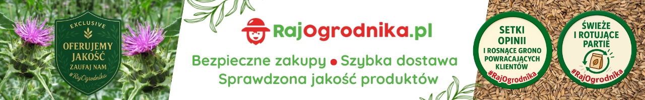 Baner ostropest plamisty na poplon nasiona sklep rajogrodnika.webp