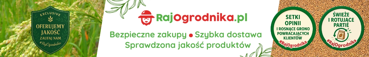 Baner proso żółte nasiona 1kg sklep rajogrodnika.webp