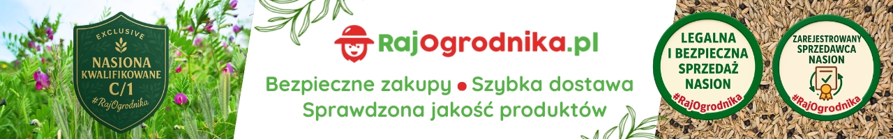 Poplon banery Mieszanka Poplonowa Ozima z żytem nasiona 1kg sklep rajogrodnika.webp