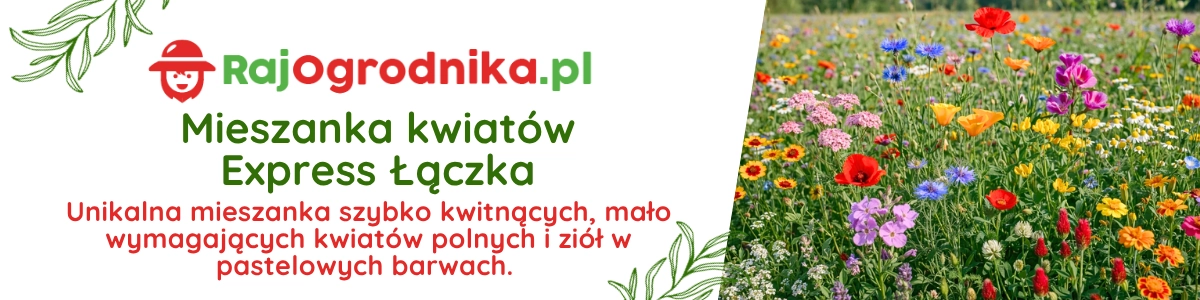 Mieszanki nasion Toraf baner Łąka kwietna Mieszanka Kwiatów Express Łączka sklep rajogrodnika