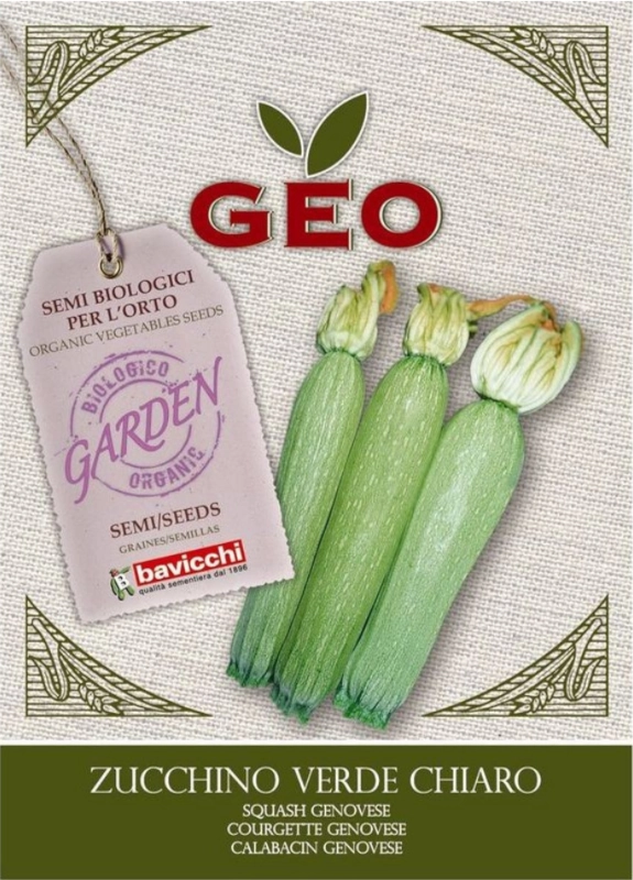 Bavicchi Cukinia jasnozielona nasiona sklep rajogrodnika
