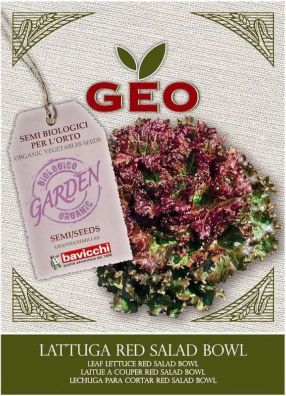 Bavicchi Sałata liściowa Red Salad Bowl nasiona bio sklep rajogrodnika
