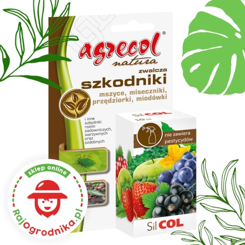 Silcol oprysk na mszyce przędziorki miodówki 10 ml - Agrecol Natura