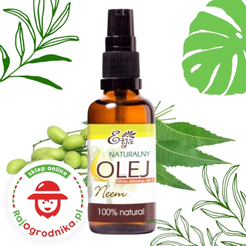 Olej Neem z miodoli indyjskiej 50ml - Etja