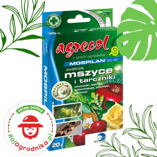 Mospilan 20 SP Oprysk na Ćmę bukszpanową 20g - Agrecol