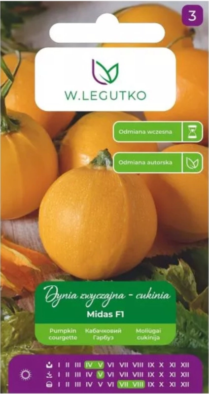 Legutko Dynia zwyczajna cukinia Midas F1 nasiona 2 sklep rajogrodnika