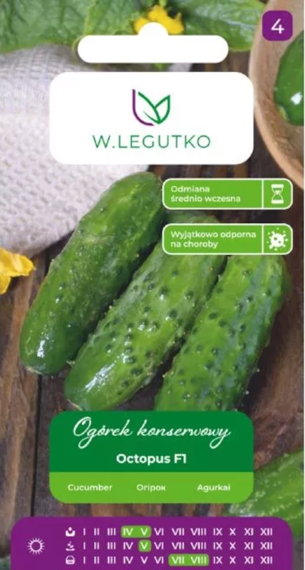 Legutko ogorek-gruntowy-octopus-f1 nasiona sklep rajogrodnika