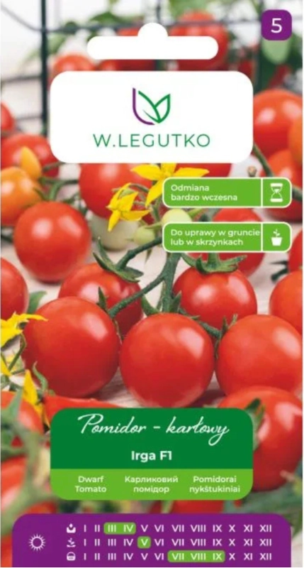 Legutko Pomidor wysoki Black Beauty nasiona 2 sklep rajogrodnika