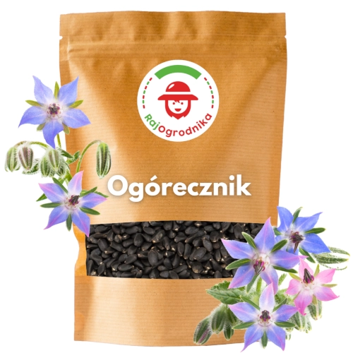 Ogórecznik nasiona sklep 3a small rajogrodnika