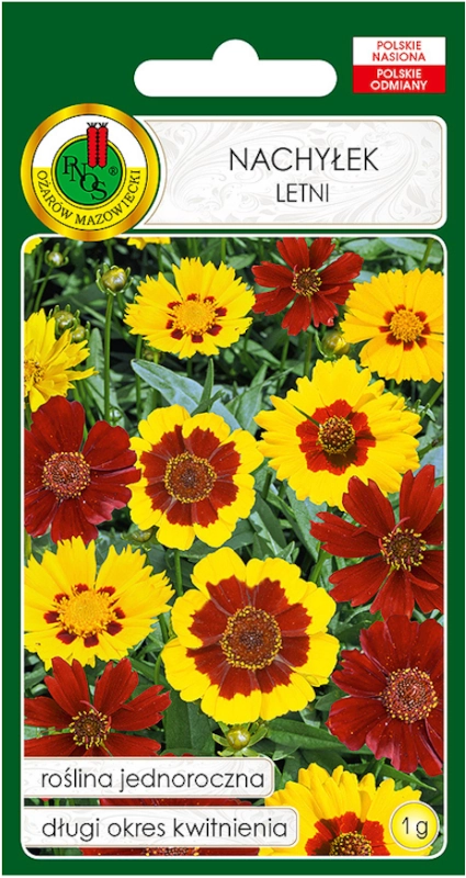 NACHYŁEK LETNI mieszanka nasiona Pnos sklep rajogrodnika