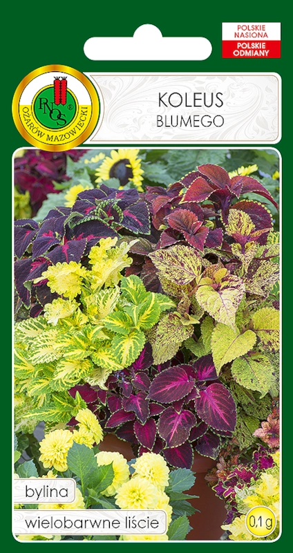 PNOS koleus blumego mix nasiona sklep rajogrodnika