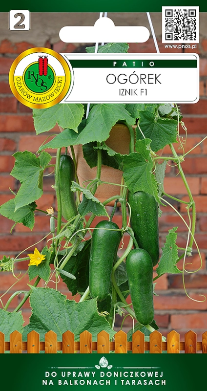PNOS ogórek iznik seria PATIO nasiona 10szt sklep rajogrodnika