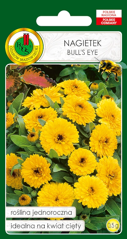 nagietek bulls eye nasiona PNOS sklep rajogrodnika