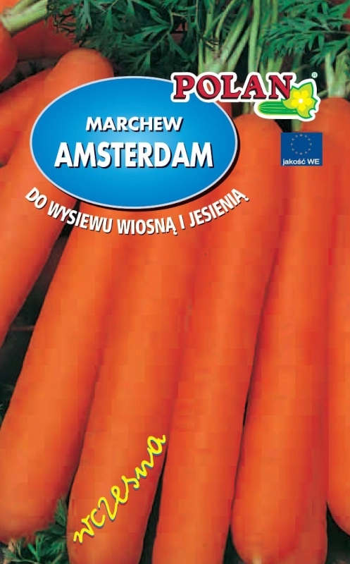 Marchew Amsterdam Polan 2 nasiona sklep raj ogrodnika