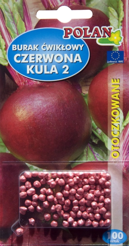 Polan Burak Ćwikłowy Czerwona Kula 2 nasiona otoczkowane sklep rajogrodnika