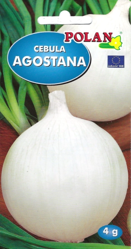Polan Cebula Agostana nasiona 2 4g sklep rajogrodnika