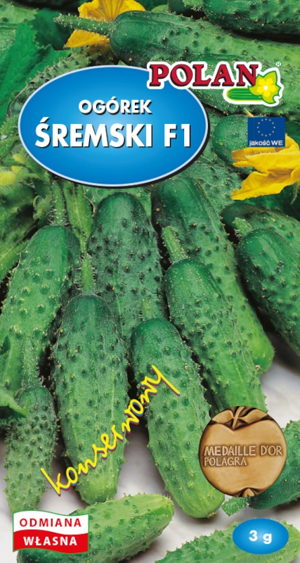 Polan Ogórek Śremski F1 nasiona sklep rajogrodnika