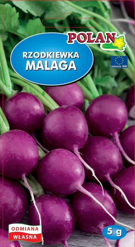 Polan Rzodkiewka Malaga nasiona 2 sklep rajogrodnika