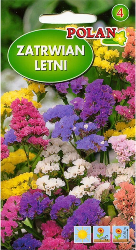 Polan Zatrwian letni mieszanka nasiona sklep rajogrodnika