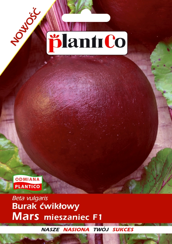 PlantiCo Burak ćwikłowy Mars mieszaniec F1 nasiona 2 sklep rajogrodnika