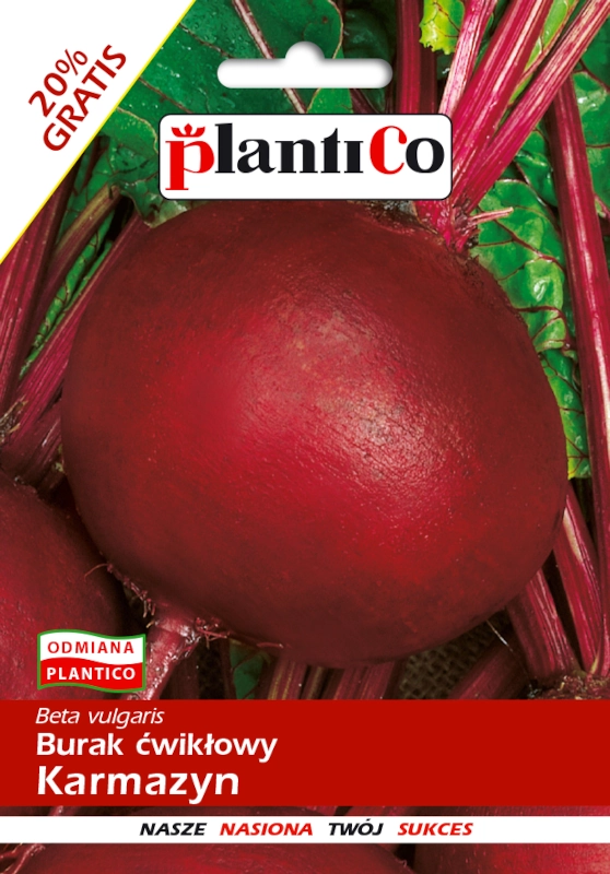 PlantiCo Burak ćwikłowy karmazyn 2 nasiona sklep rajogrodnika
