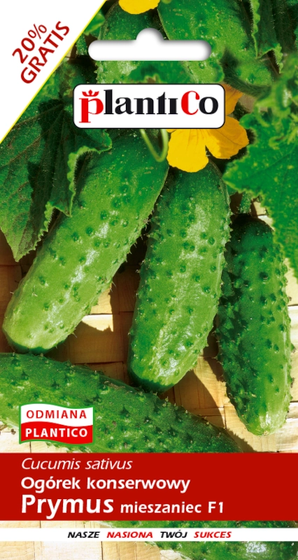 PlantiCo Ogórek konserwowy Prymus mieszanie F1 nasiona 2 sklep rajogrodnika