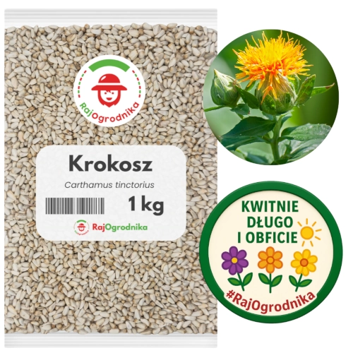 Krokosz nasiona 1kg roślina na poplon i miododajna 13 Small sklep rajogrodnika.webp