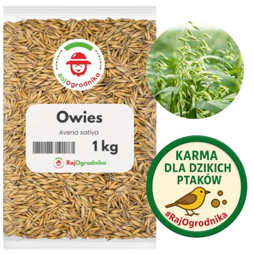 Owies na poplon 1kg sklep 5 Small rajogrodnika.webp