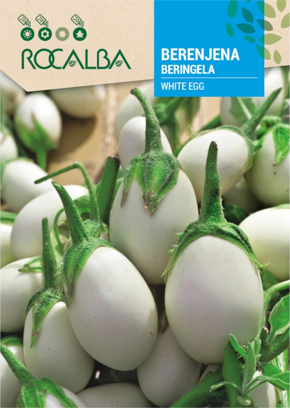 Bakłażan White Egg odmiana o licznych białych owocach nasiona 2g Rocalba