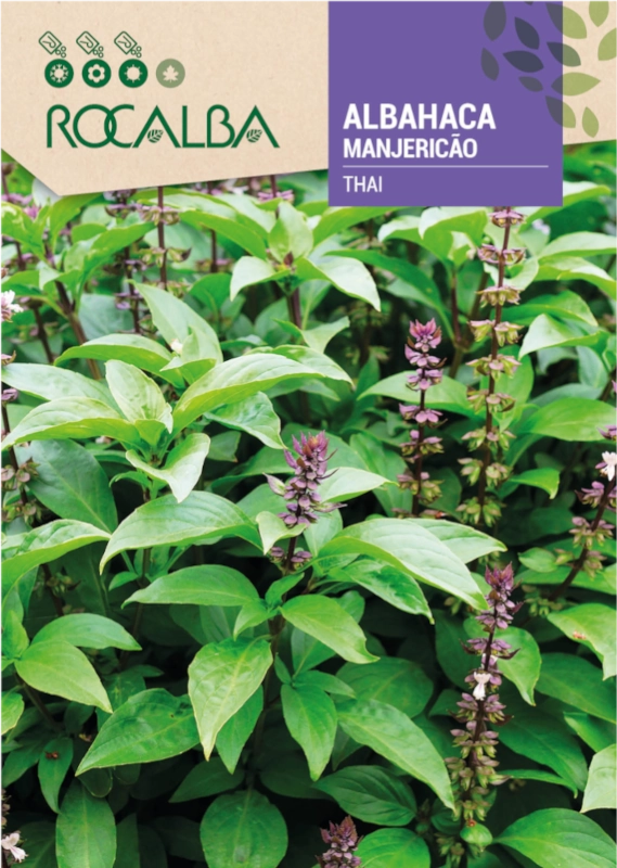 Bazylia Holy Thai odmiana o licznych pachnących liściach nasiona 1g Rocalba
