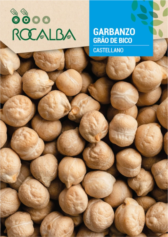 Ciecierzyca Castellano odmiana o wyjątkowy smaku nasiona do siewu 50g Rocalba