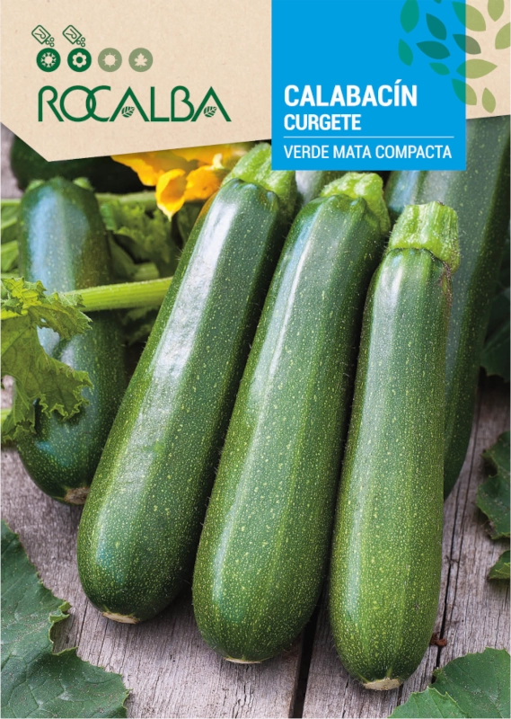 Cukinia Verde Mata Compacta odmiana plenna o licznych zielonych owocach nasiona 8g Rocalba