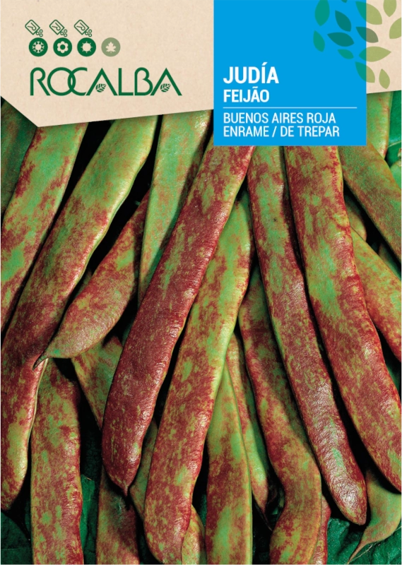 Fasola Buenos Aires Roja odmiana o licznych strąkach z dekoracyjnym czerwonym nakrapianiem nasiona 50g Rocalba