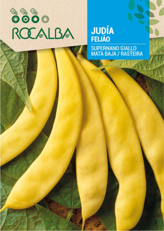 Fasola Supernano Giallo odmiana o licznych żółtych strąkach nasiona 30g Rocalba