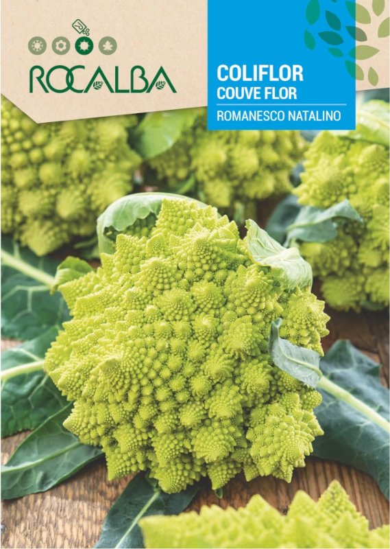 Kalafior Romanesco Natalino odmiana tworzy stożkowate róże o żółto-zielonym zabarwieniu nasiona 8g Rocalba