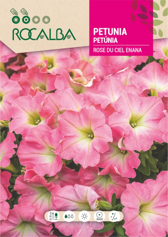 Petunia karłowa Rose du Ciel o różowych kwiatach nasiona 0,5g Rocalba