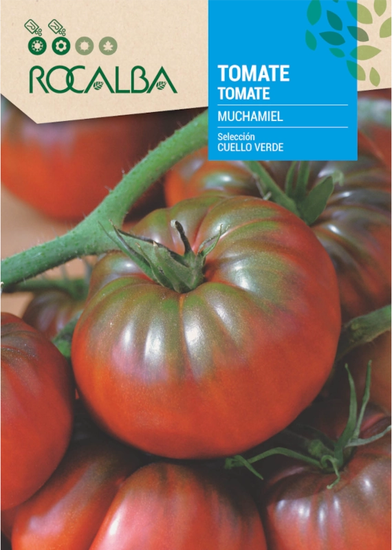 Pomidor Muchamiel Selection Cuello Verde odmiana o dużych mięsistych owocach o masie 250 g nasiona 1g Rocalba