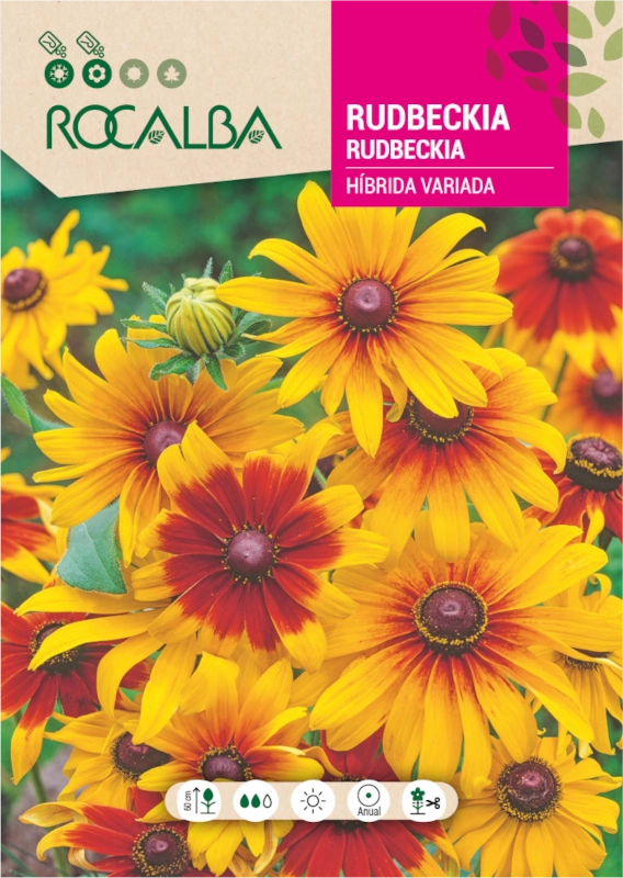 Rudbekia mieszańcowa Mixed o kolorowych kwiatach nasiona 3g Rocalba