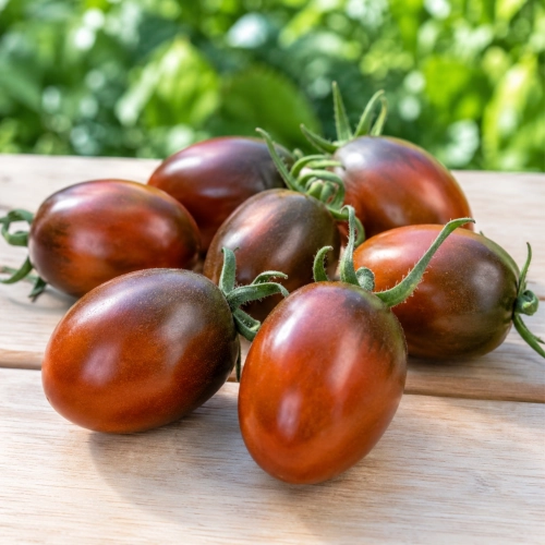 Pomidor Black Plum odmiana koktajlowa nasiona ReinSaat sklep rajogordnika