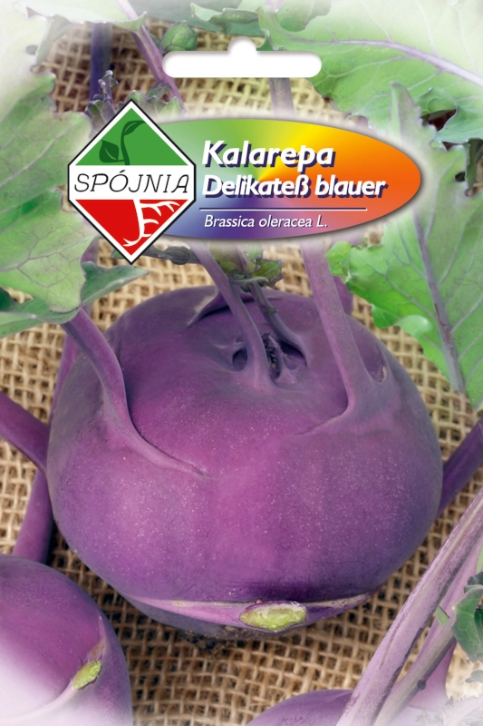 Spójnia Kalarepa Delikatess Blauer nasiona 2 sklep rajogrodnika