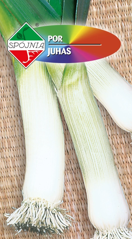 Spójnia Por Juhas nasiona 2 sklep rajogrodnika