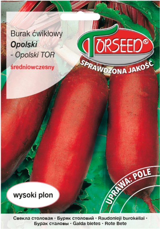 Burak ćwikłowy Opolski Opolski TOR Duże opakowanie nasion vis 15g TORSEED sklep rajogrodnika